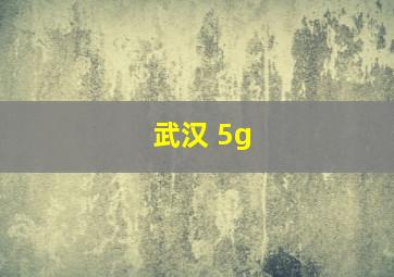 武汉 5g